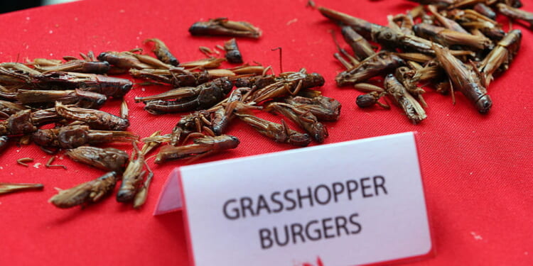 Fake Meat Withers on the Propaganda Vine