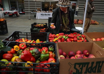 Farmers Markets Are More Than a Place for Fresh Food