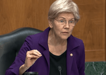 Senator Warren (cropped)
