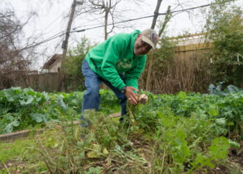 Liberty Lifestyle: Become Self-Sufficient With a Backyard Garden