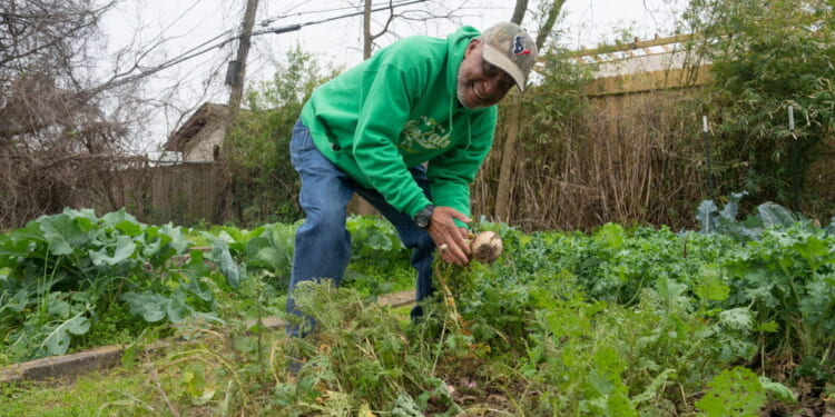 Liberty Lifestyle: Become Self-Sufficient With a Backyard Garden
