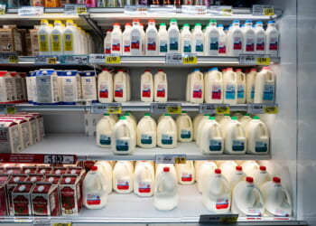 Mississippi Bans Fake Milk to Support Human Health and Farmers