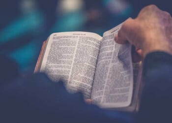 Nearly Half of Americans Are Bible Readers - Here's How Much Scripture They Have Read