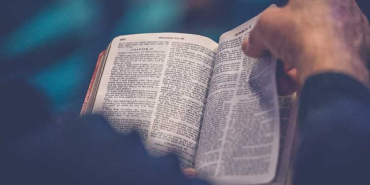 Nearly Half of Americans Are Bible Readers - Here's How Much Scripture They Have Read