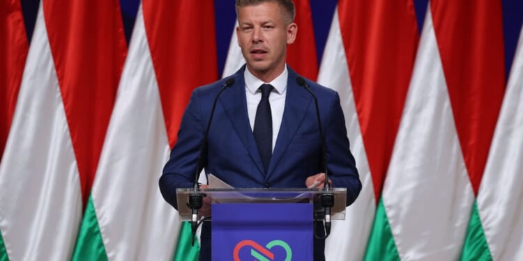 Péter Magyar’s victory is nothing for ‘progressives’ to cheer