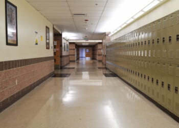 School Takeover Bill Branded as Racist – But Is It?