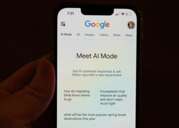 The AI of Google Overview May Be Giving You the Wrong Results