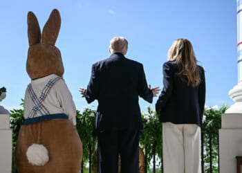 The American Mind Podcast: The Roundtable Episode 312