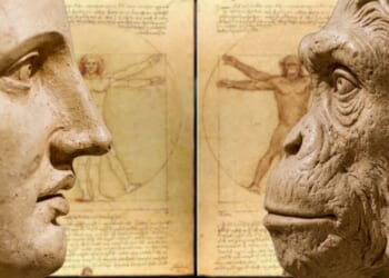 The American Mind Podcast: The Roundtable Episode 313