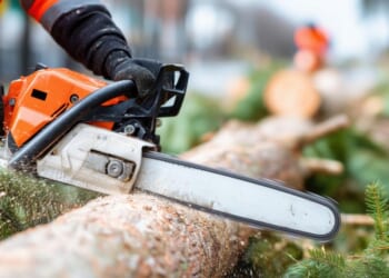 The Chainsaw Revolution: Javier Milei’s Rothbardian Assault on Argentine Collectivism