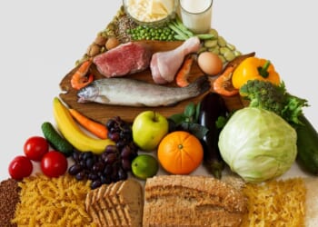 The Next Food Pyramid: Lab-Grown Meat and the New Moral Orthodoxy