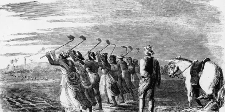 The UK should not pay a penny in slavery reparations