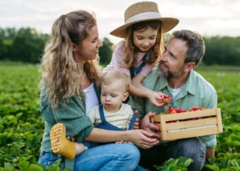 Toward a Sexual Counter-Revolution - The American Mind