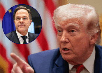 Trump ‘absolutely’ considering withdrawing U.S. from NATO, anticipated to voice ‘disgust’ during Wed. address to nation