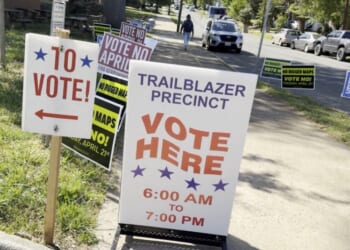 Virginia Voters OK New Map That Could Decide House Control, Now It Heads to State Supreme Court