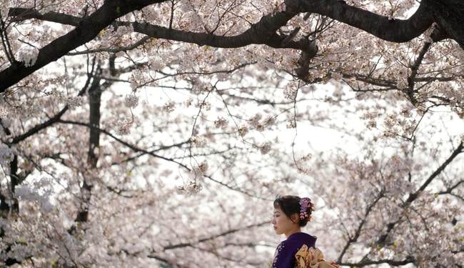 When Language Barriers Disappear – PJ Media