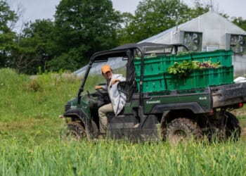 Homesteading – the New Land Rush