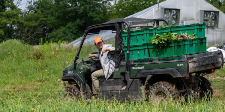 Homesteading – the New Land Rush